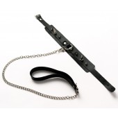 Черный ошейник с шипами и поводком - Crazy Handmade - купить с доставкой в Барнауле