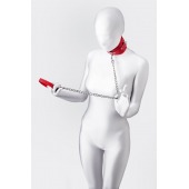 Красный ошейник с подкладкой из меха - ToyFa - купить с доставкой в Барнауле