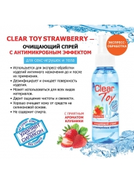 Очищающий спрей для игрушек CLEAR TOY Strawberry - 100 мл. - Биоритм - купить с доставкой в Барнауле