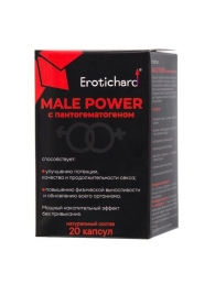 Капсулы для мужчин Erotichard male power с пантогематогеном - 20 капсул (0,370 гр.) - Erotic Hard - купить с доставкой в Барнауле