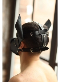 Эффектная маска собаки с металлическими заклепками - БДСМ Арсенал - купить с доставкой в Барнауле