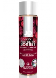 Лубрикант на водной основе с ароматом малины JO Flavored Raspberry Sorbet - 120 мл. - System JO - купить с доставкой в Барнауле