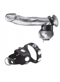 Утяжка для мошонки и пениса Cock Ring With 1  Ball Stretcher And Optional Weight Ring - BlueLine - купить с доставкой в Барнауле