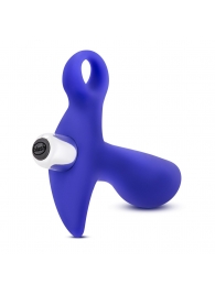 Синий стимулятор простаты с ручкой-кольцом Performance Prostimulator 02 - Blush Novelties - в Барнауле купить с доставкой