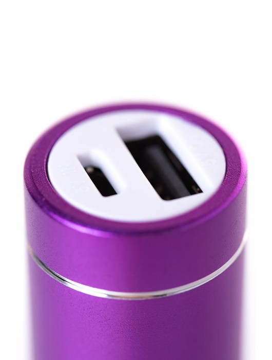 Портативное зарядное устройство A-toys 2400 mAh microUSB - A-toys - купить с доставкой в Барнауле