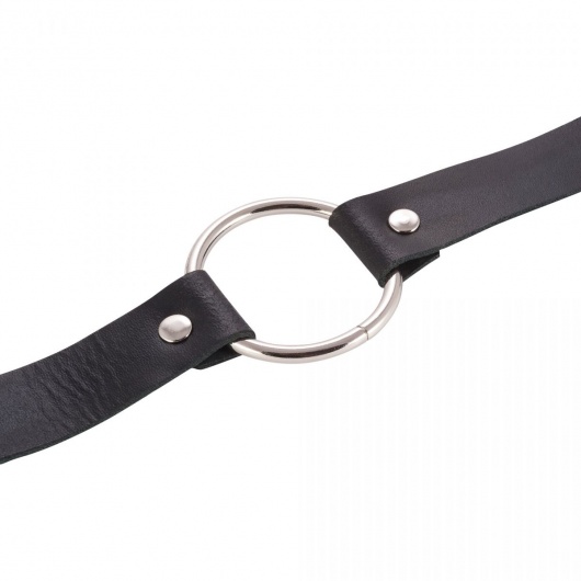 Черный поводок и чокер с кольцом Rada - Rebelts - купить с доставкой в Барнауле