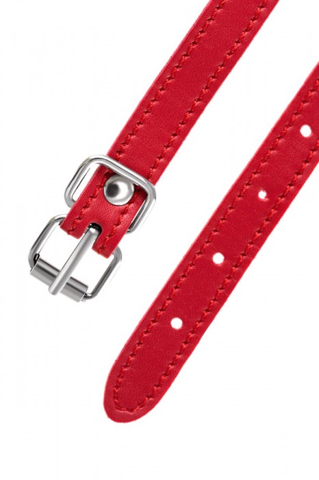 Красная маска Anonymo из искусственной кожи - ToyFa - купить с доставкой в Барнауле