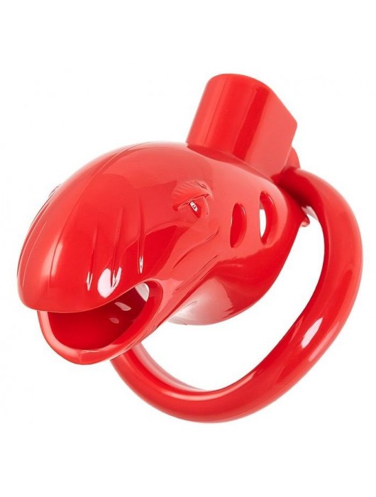 Красный мужской пояс верности из пластика - ToyFa - купить с доставкой в Барнауле