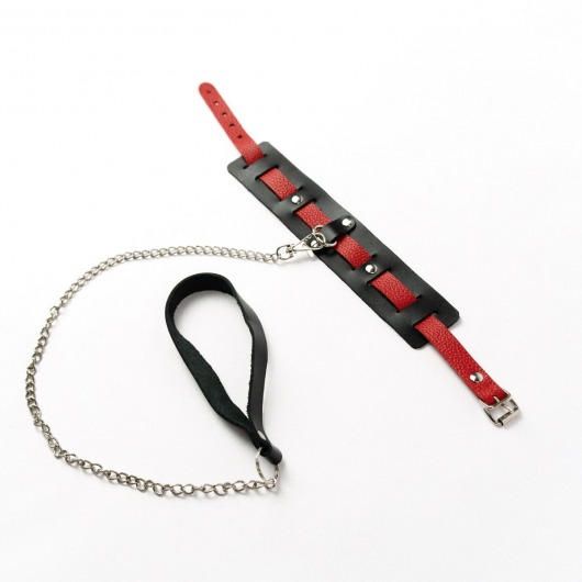 Черный ошейник с красным ремешком и поводком - Crazy Handmade - купить с доставкой в Барнауле