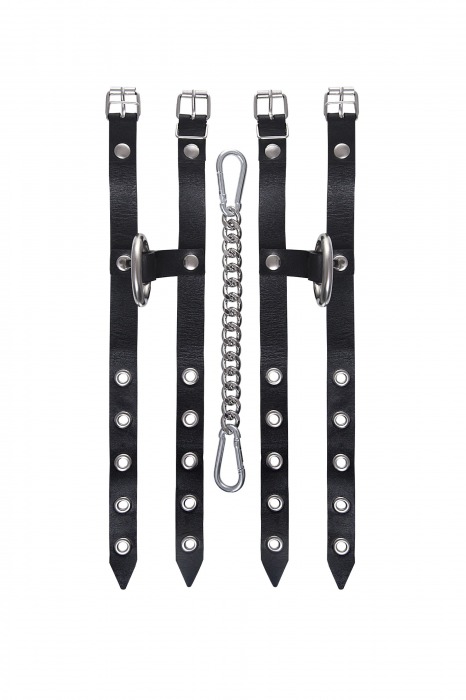 Черные однослойные кожаные оковы из двух ремешков - Pecado - купить с доставкой в Барнауле