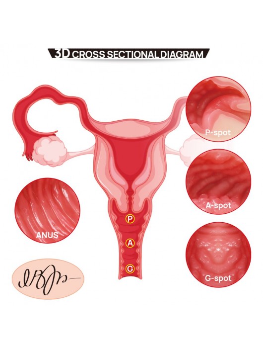 Мастурбатор-полуторс с двойным слоем материала Vanilla Onahole Real Vagina - KOKOS - в Барнауле купить с доставкой