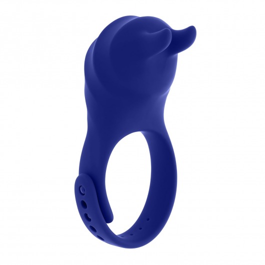 Синее эрекционное виброкольцо с клиторальной подушечкой и пультом ДУ Adjustable Fun Ring - Zero Tolerance - в Барнауле купить с доставкой