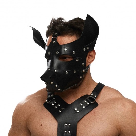 Черная кожаная маска «Собака» - Crazy Handmade - купить с доставкой в Барнауле Черная кожаная маска «Собака» - Crazy Handmade - купить с доставкой в Барнауле