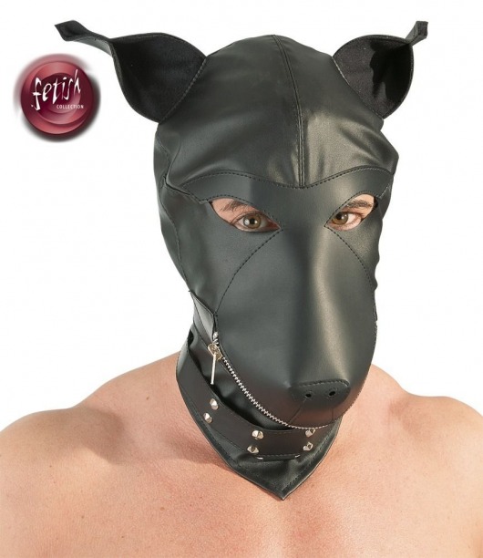 Шлем-маска Dog Mask в виде морды собаки - Orion - купить с доставкой в Барнауле