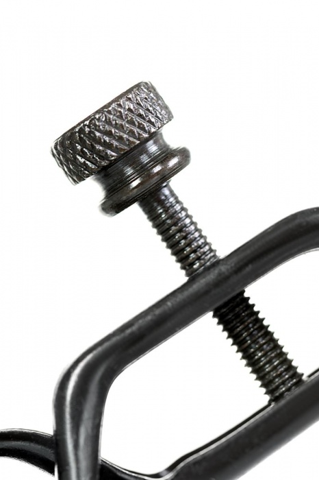 Черно-золотистые зажимы для сосков TOYFA Theatre - ToyFa - купить с доставкой в Барнауле