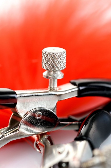 Зажимы для сосков с красным пухом Theatre - ToyFa - купить с доставкой в Барнауле